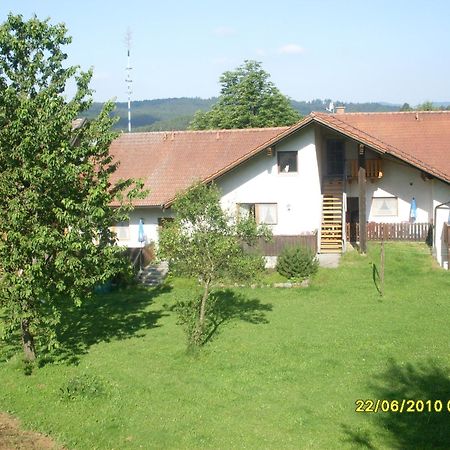 Gasthof Pension Gregori Kötzting Rum bild